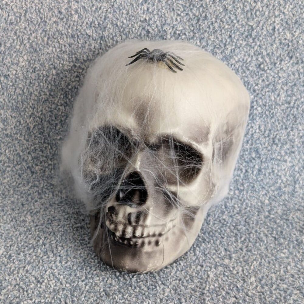 Halloween Skull Spider Cobweb 5" Tall Lightweight Plastic Seasonal Decoration